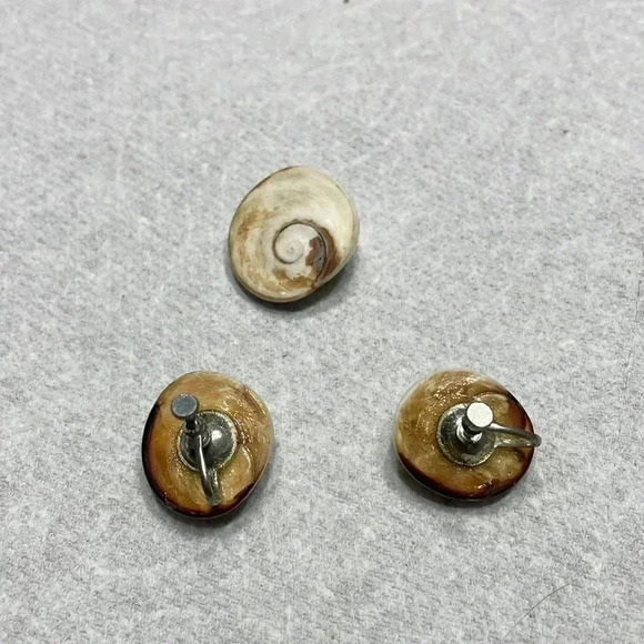 Vintage operculum cats eye shell earrings with brooch - Picture 2 of 5